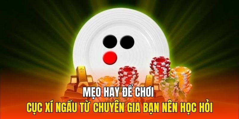 Mẹo hay để chơi cục xí ngầu từ chuyên gia bạn nên học hỏi